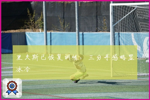 里夫斯已恢复训练，三分手感略显冰冷