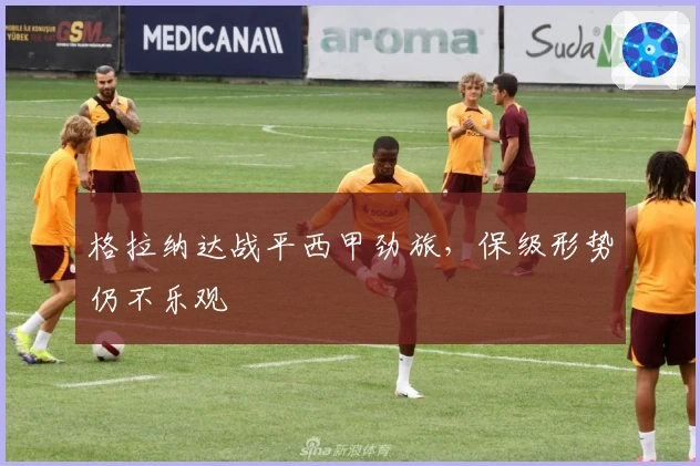 格拉纳达战平西甲劲旅，保级形势仍不乐观