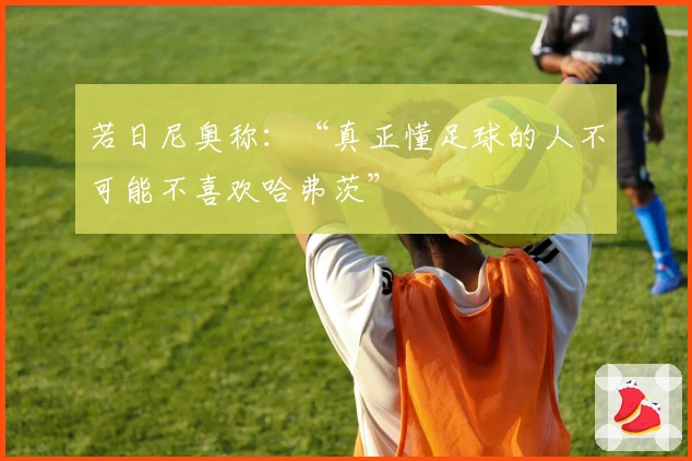 若日尼奥称：“真正懂足球的人不可能不喜欢哈弗茨”